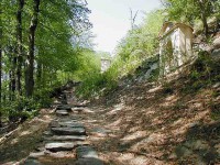 /album/fotogalerie-hrad-bezdez-ceska-lipa-zricenina/cestou-na-hrad-jpg1/